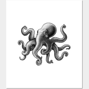 Octopus Posters and Art